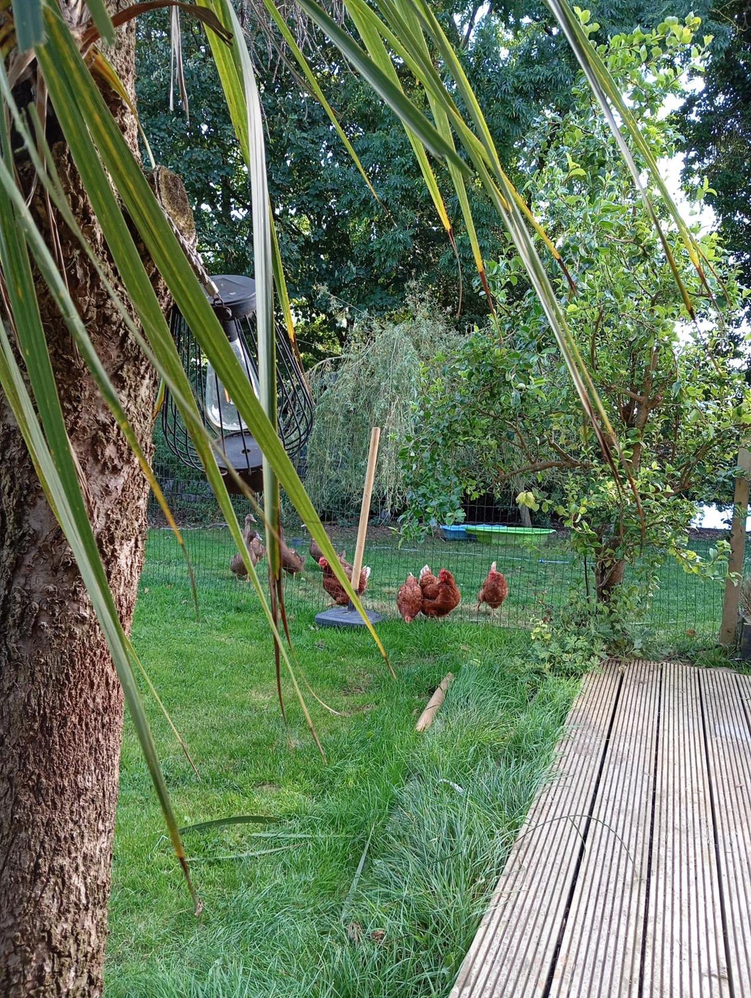 Hébergement de vacances Adventure Retreat 'the Cabanne' No Shower